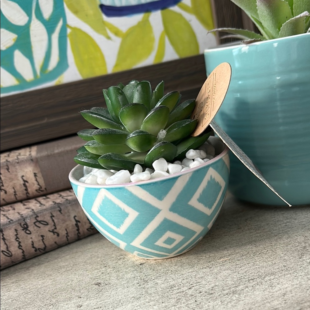 Boho Chic Geometric Aztec Planter with Succulent